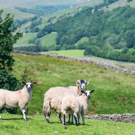 בית נופש Throstle Nest Barn