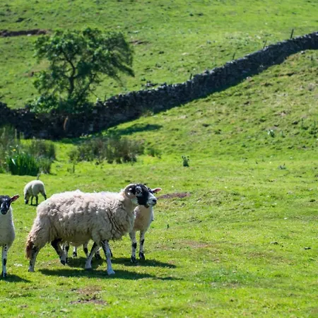 Throstle Nest Barn * Gunnerside