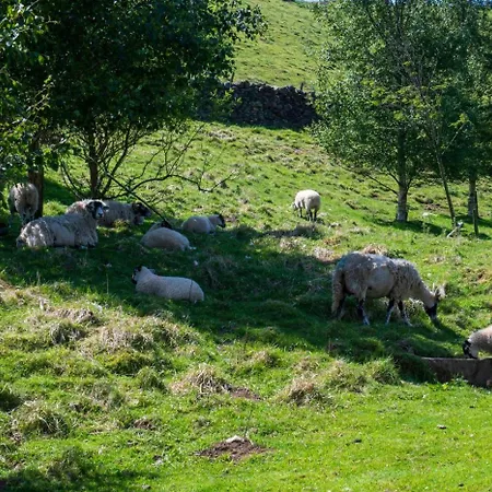 Throstle Nest Barn בית נופש *